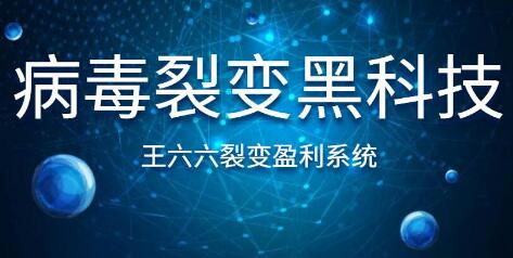 王六六裂變盈利系統(tǒng)課程第六課，病毒裂變黑科技