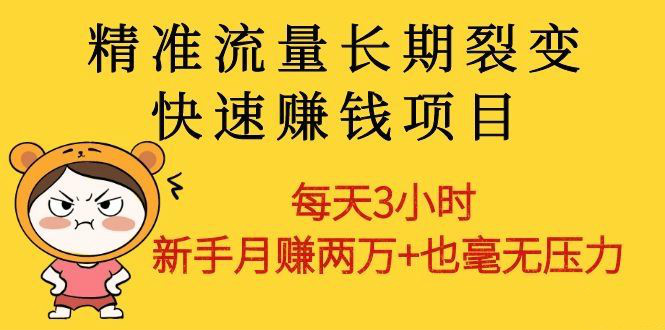 精準(zhǔn)流量長期裂變快速賺錢項(xiàng)目：每天3小時(shí) 新手月賺兩萬+也毫無壓力