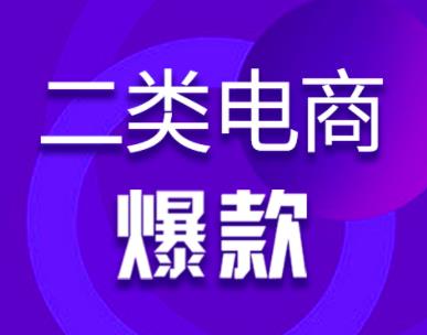 聊一個小眾的電商項目——二類電商，類似1688無貨源，但重廣告投放。,qq群營銷