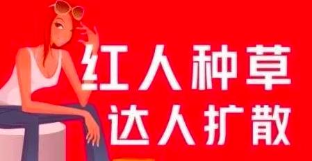 引流,上班族月入6000+小紅書引流賺錢副業(yè)項目，拆解視頻號簡單粗暴玩法！