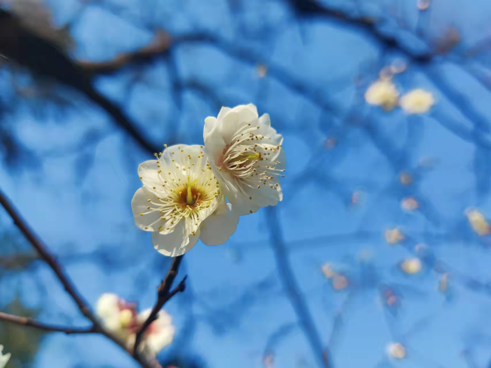 工作中心態(tài)的重要性，職場人應(yīng)避免的6種職場心態(tài)都是什么